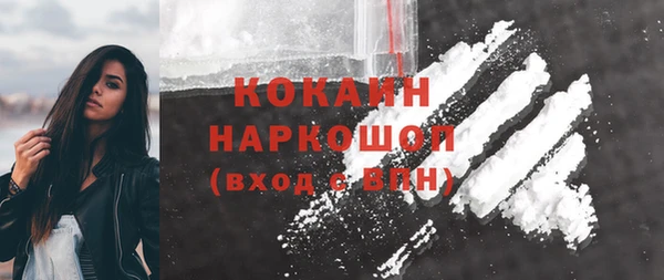 гашик Верея