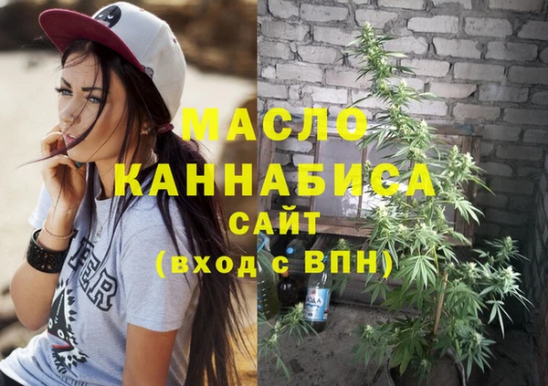 гашик Верея