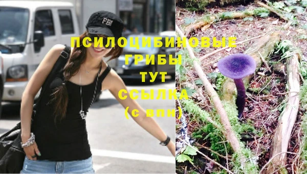гашик Верхний Тагил