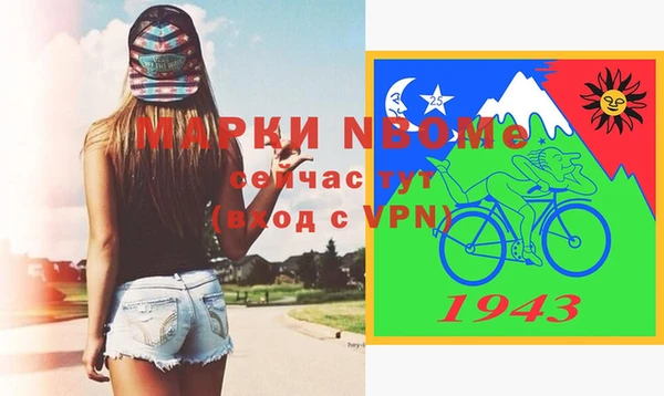 гашик Верея